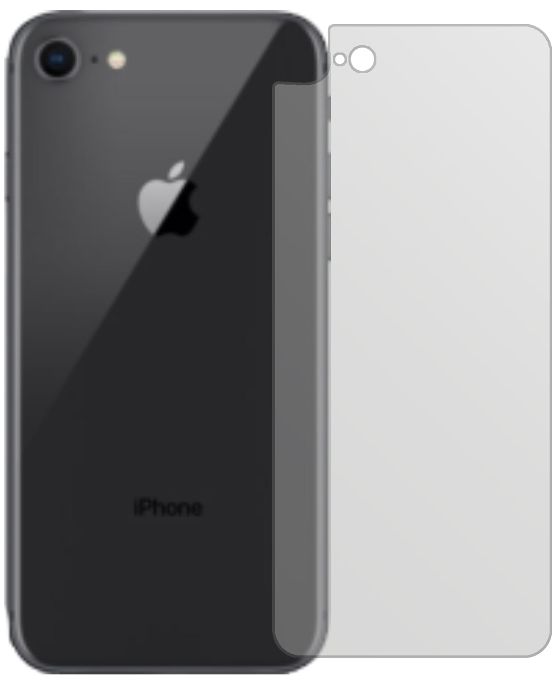 AppleiPhone SE (2020) Rückseite mit aufgebrachter dipos Displayschutzfolie, die lästige Fingerabdrücke minimiert
