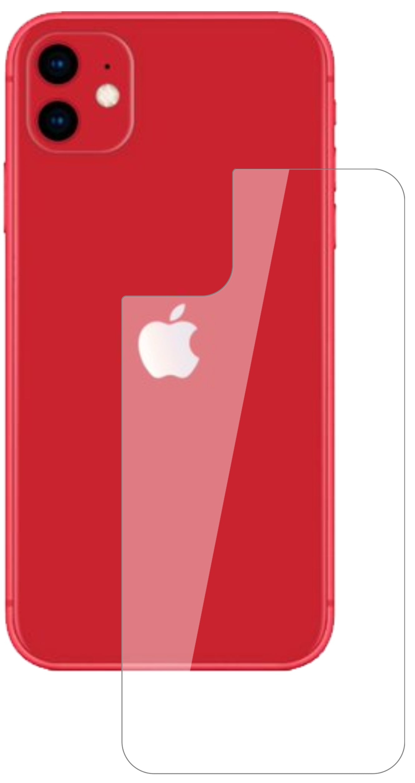AppleiPhone 11 Rückseite mit aufgebrachter dipos Flex Schutzfolie, glasklare Darstellung ohne Einschränkungen