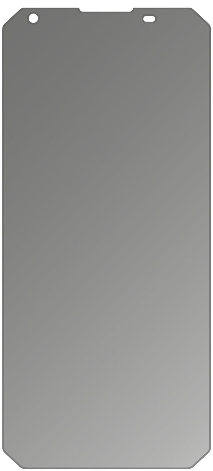 dipos Displayschutz für Blackview BV9500, mattierte Oberfläche, Blickschutzfilter und perfekter Passform