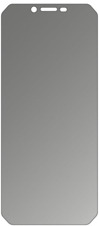 dipos Displayschutz für Blackview BV9600 Plus, mattierte Oberfläche, Blickschutzfilter und perfekter Passform