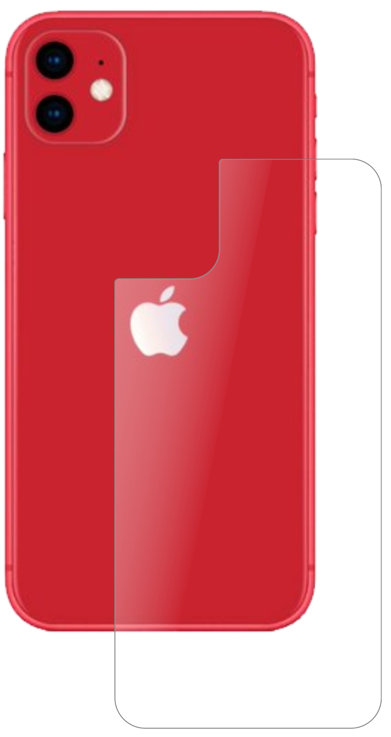 AppleiPhone 11 Rückseite mit aufgebrachter dipos Panzerfolie, die lästige Fingerabdrücke minimiert