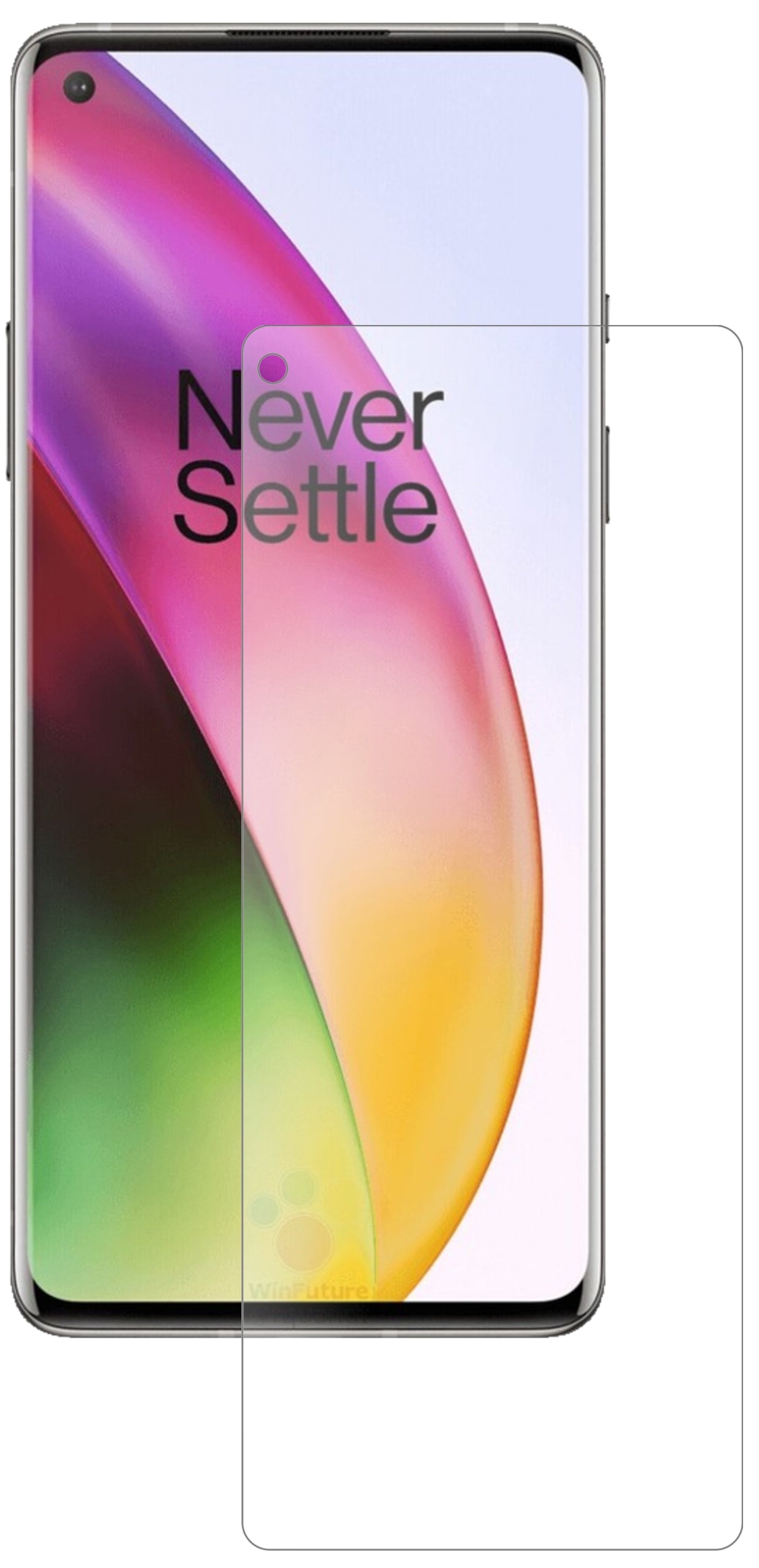 OnePlus8 mit aufgebrachter dipos Panzerfolie, die lästige Fingerabdrücke minimiert