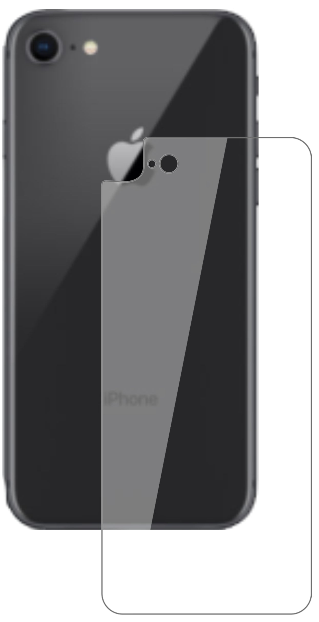 AppleiPhone SE 2 Rückseite mit aufgebrachter dipos Flex Schutzfolie, glasklare Darstellung ohne Einschränkungen