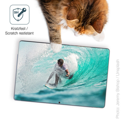 dipos Displayschutz für FanyFish 13 Tablet, mattierte Oberfläche, robuste Festigkeit und perfekte Passform
