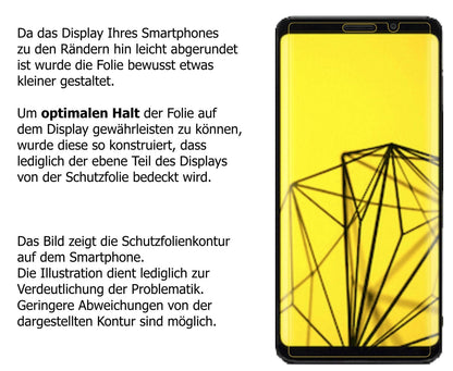Dünne und klare Folie passend zugeschnitten für Fx Tec Pro 1