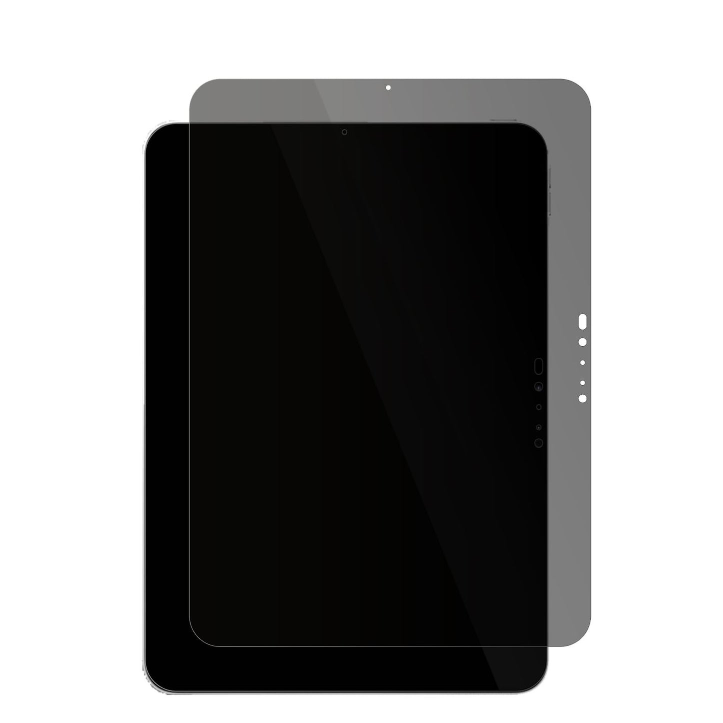 Blickschutzfolie für Apple iPad Pro 11 Zoll M4 202 (2)