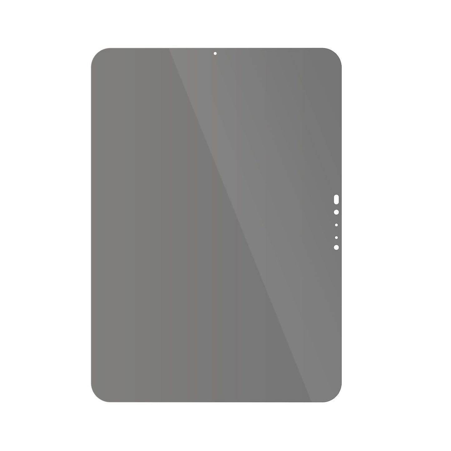 Blickschutzfolie für Apple iPad Pro 11 Zoll M4 202 (3)