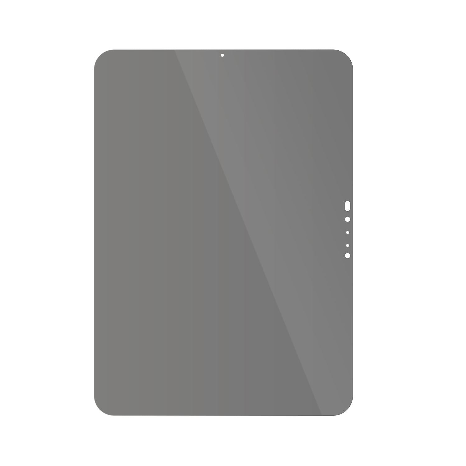 Blickschutzfolie für Apple iPad Pro 11 Zoll M4 202 (3)