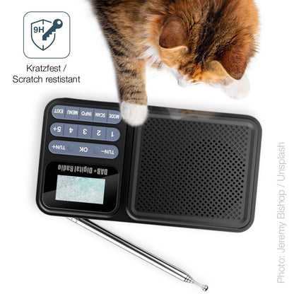 2x 9H Schutzfolie für Gallypek DAB Radio Panzerfol (3)