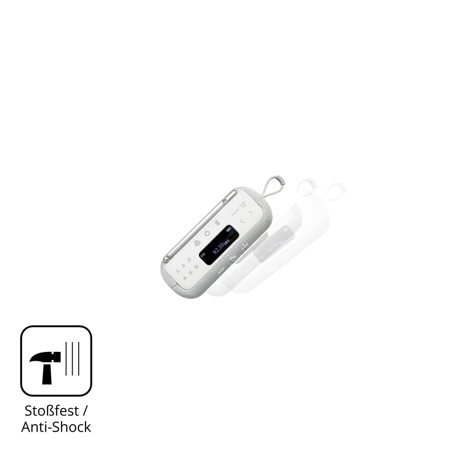 2x 9H Schutzfolie für JBL Tuner 3 Panzerfolie (4)