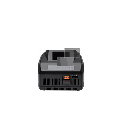 Blickschutzfolie für Spektrum Smart Charger S1100  (2)
