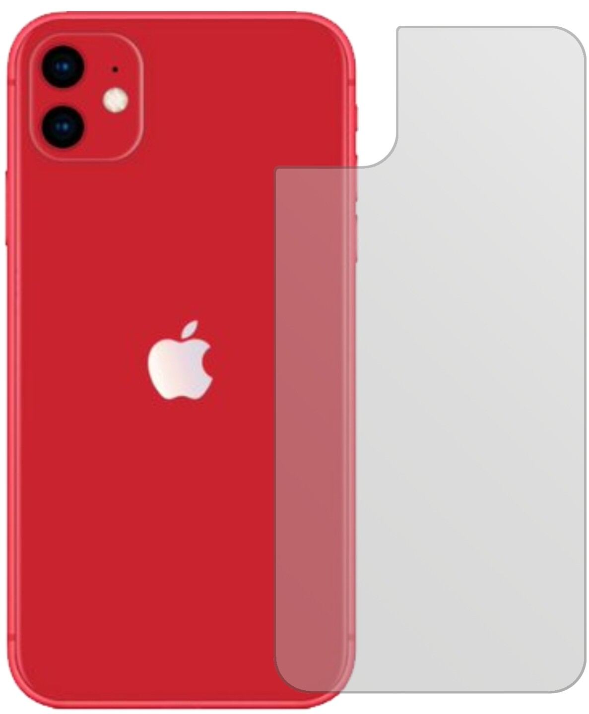 4x Schutzfolie matt für Apple iPhone 11 Rückseite  (2)