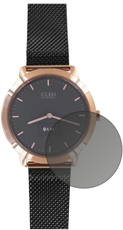 Blickschutzfolie für Cleo XW Connect matt Schutzfo (1)