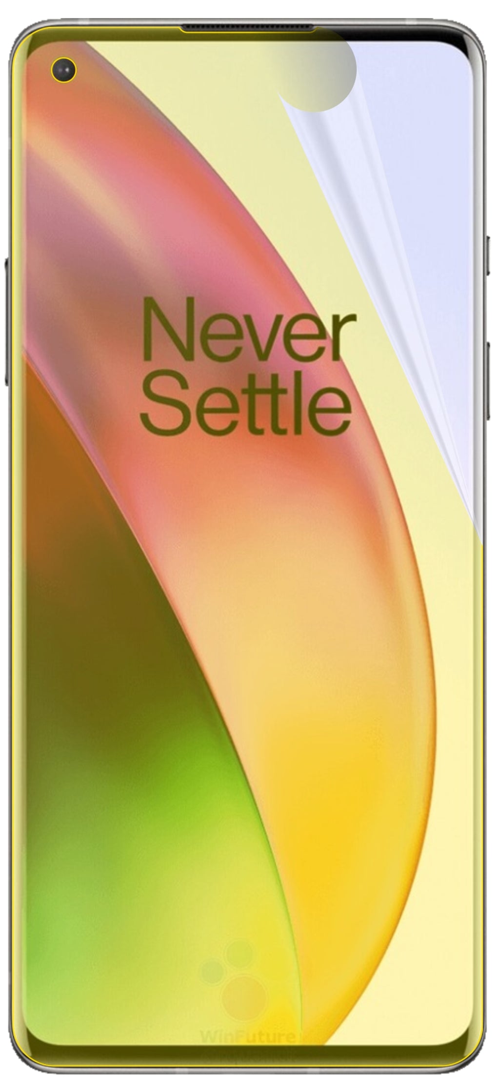 dipos Displayschutz für OnePlus 8, transparente Oberfläche, geringe Dicke und perfekte Passform