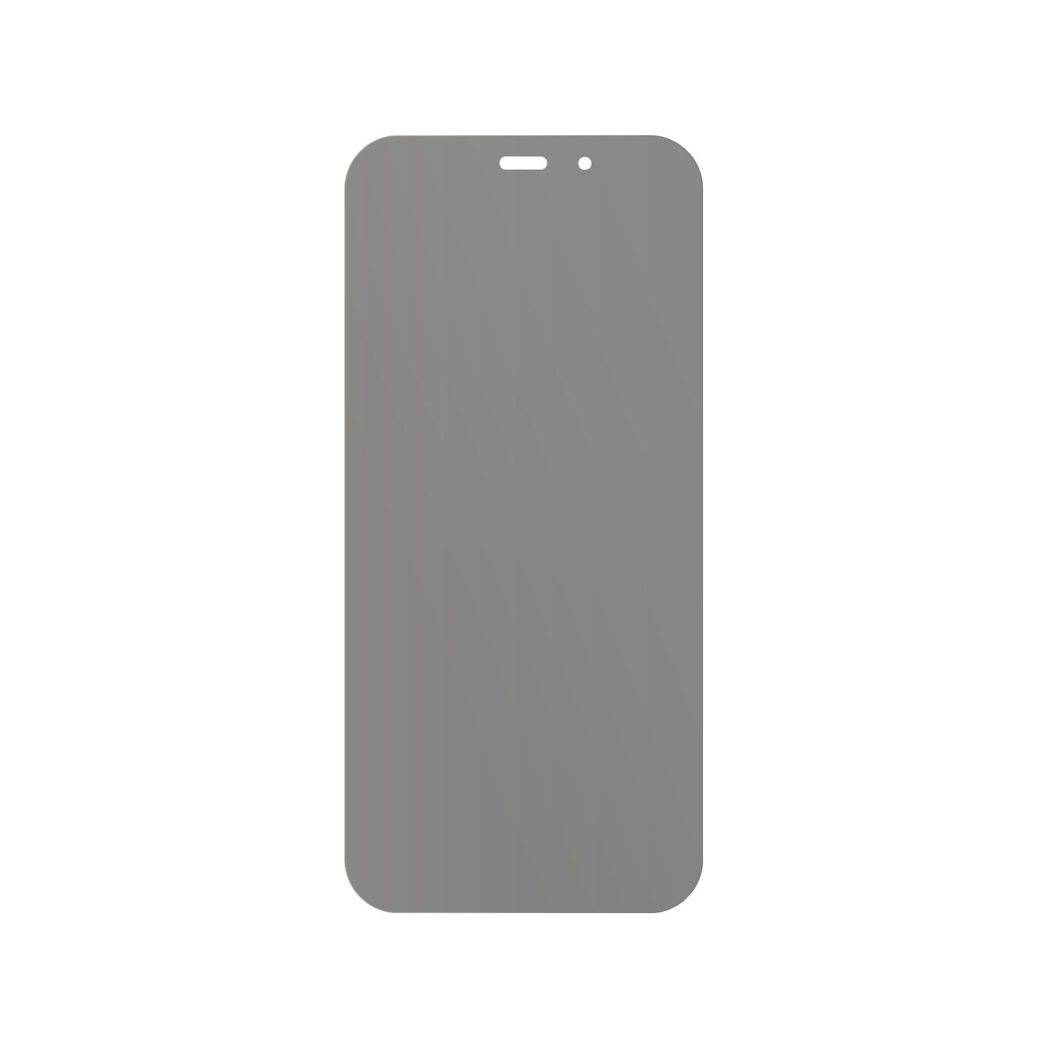 dipos Displayschutz für Oukitel WP12 Pro, mattierte Oberfläche, Blickschutzfilter und perfekter Passform