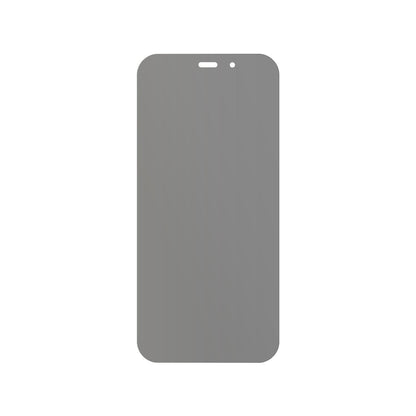 dipos Displayschutz für Oukitel WP12 Pro, mattierte Oberfläche, Blickschutzfilter und perfekter Passform